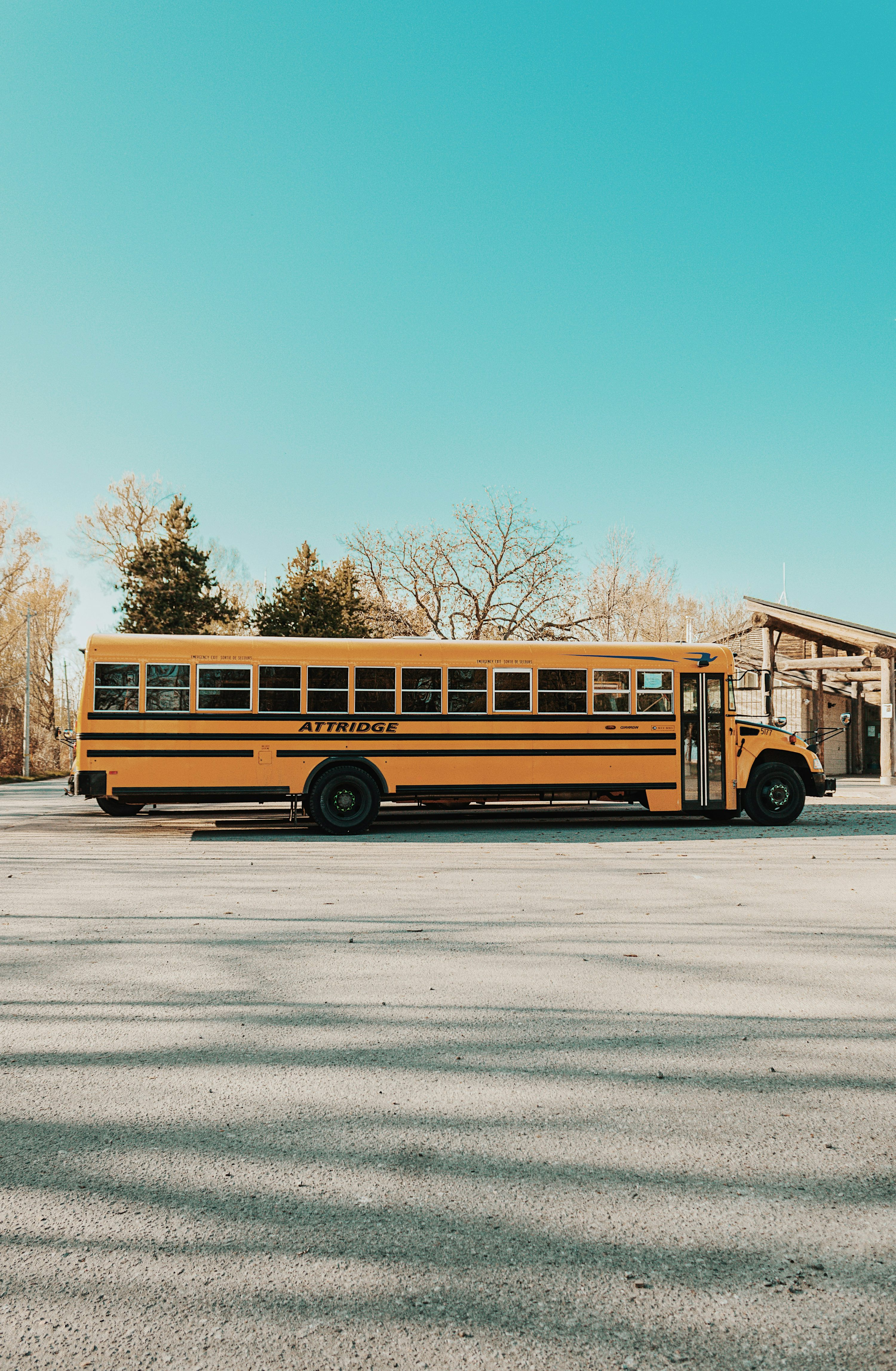 School Bus Safety
